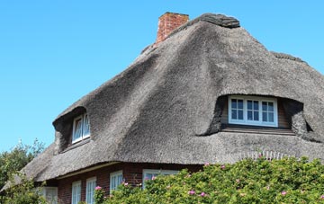 thatch roofing Old Park
